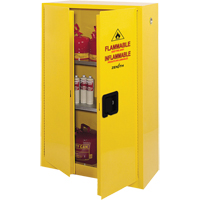 Safety Cabinets | TENAQUIP